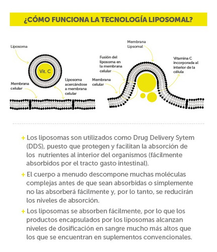 Imagen 4 de 6 de Vitamina C Liposomal 400mg | Wellplus | 60 Caps.