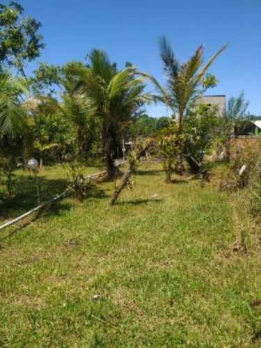 Imagem 21 de 24 de Mini Chácara No Bairro Sítio Velho, Em Itanhaém, Com Tanque De Peixes Com Mais De 100 Tilápias, Quarto De Dispensa, Poço Artesiano, Fogão A Lenha E Vaga Para 02 Automóveis Ref: 9544/ac