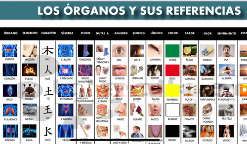 Paquete De Posters Para Auriculoterapia