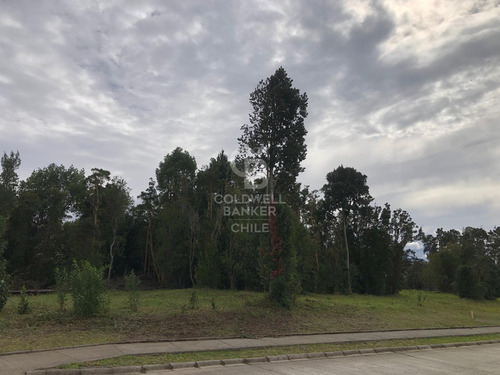 Parcela Santa Otilia, Con Bosque Y Vista Volcanes