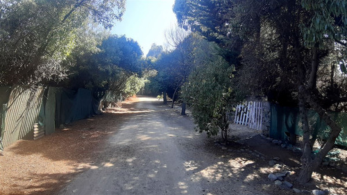 Industrial En Venta En Puchuncaví