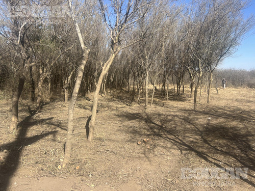Terreno Comercial En Venta - Merlo San Luis