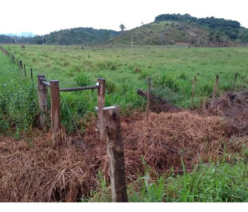 Fazenda - 0001 - 32820427