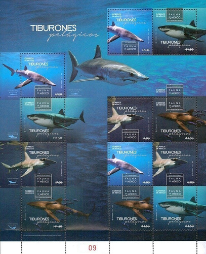 Imagen 1 de 1 de Mexico 2016 Tiburones Hoja De 12 Timbres Mint Rara Foto Fi