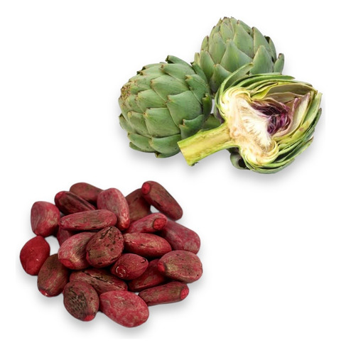 Semillas De Alcachofa. Cultivo Agrícola