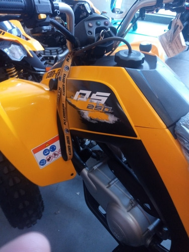 Imagen 5 de 8 de Can Am Ds 250