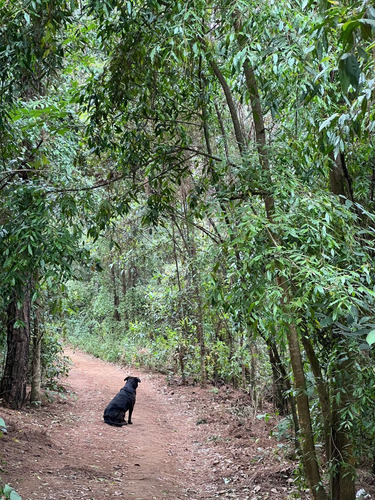 Terreno Rincón Jaímes