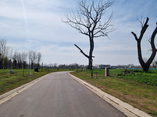 Venta, Lote A La Laguna, San Juan Chico Al 100