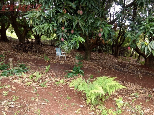 Chácaras_sítios_fazendas Para Venda - 13650.7749