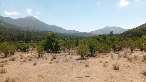 Terreno De 6 Hectáreas Con Derechos De Agua, Caleu
