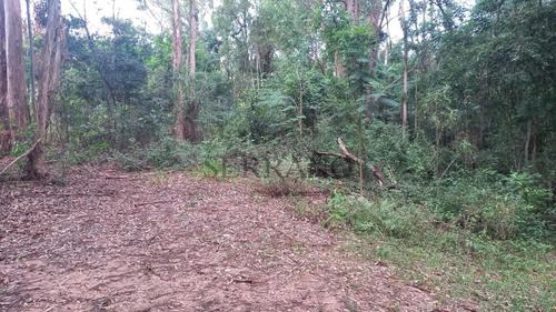 Imagem 6 de 8 de Área À Venda Em Vila Gallo - Ar002193