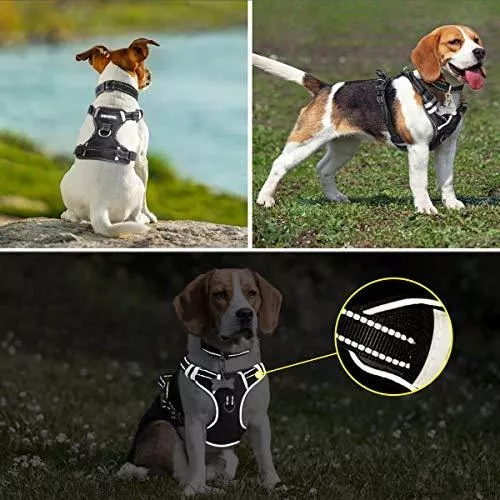 WINSEE Arnés para perro sin jalones, arnés para mascotas con collar de  perro, chaleco reflejante ajustable Oxford para salir, broches para correa