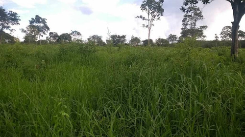 Fazenda De Gado E Graõ Com 455 Hectares Curvelo - 36426