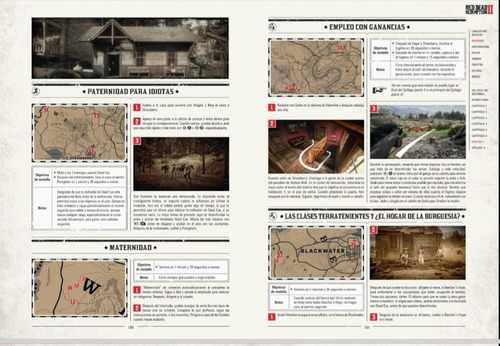 Rock Star Games Rdr2 Manual Completo Paso A Paso (Usado)