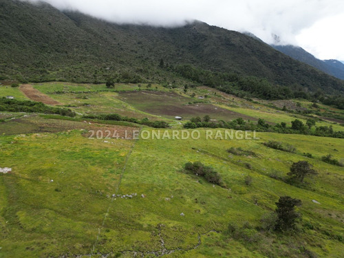 Se Vende Terreno De 6 Hectáreas En La Culata, Mérida.