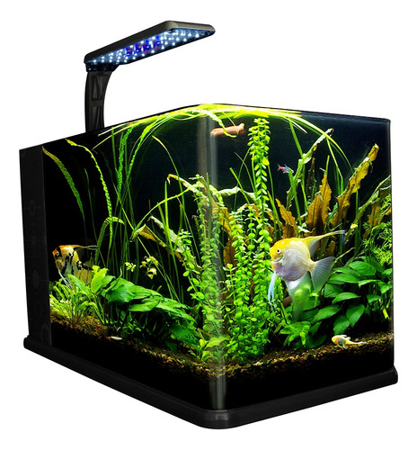 Acuario  Nano Largo 14 Lt Pecera Equipada