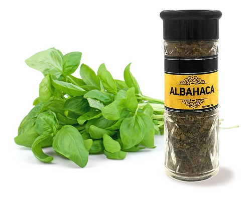 Pontino Albahaca, 20 G