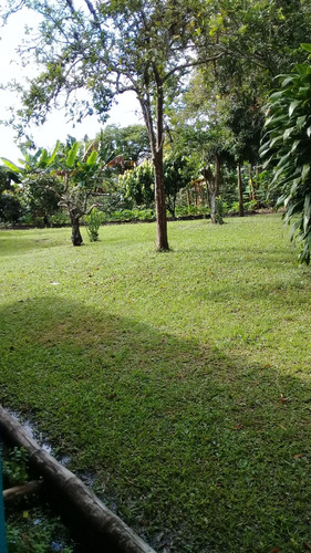 Se Vende Lote En Quimbaya Quindío