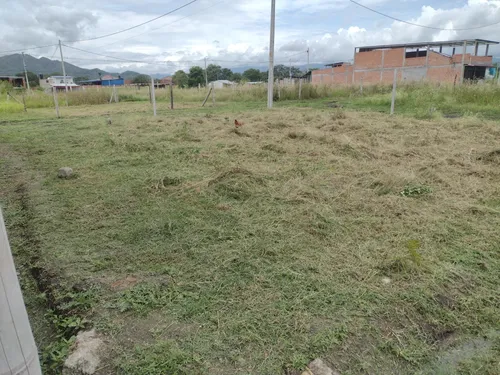 Vendo Lotes