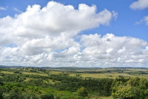 Campo En Venta