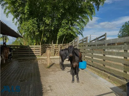 Finca Para Caballistas(mls#249601)
