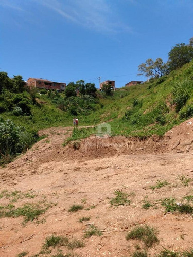 Imagem 3 de 22 de Terreno Amplo Para Desenvolvimento Imobiliário. - Te0019