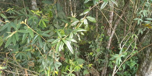 Imagem 3 de 7 de ***oportunidade *** Lote De 4400m2 Ibiúna Sp