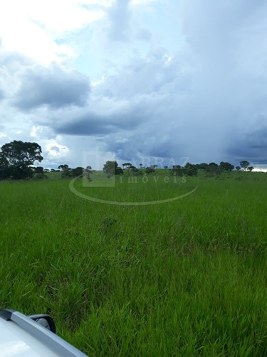Imagem 6 de 13 de Oportunidade. Fazenda Pecuária Para Venda Em Gurinhata-mg, Região De Ituiutaba, Com 60 Alqueires Sp, Terra Mista, Formada Em Pasto, Mina Dagua, Cerca - Fa00122 - 69310914