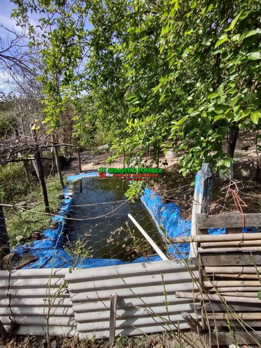 Imagem 9 de 15 de Chácara Em Santa Branca Com Nascente E Tanque De Peixe - 2113