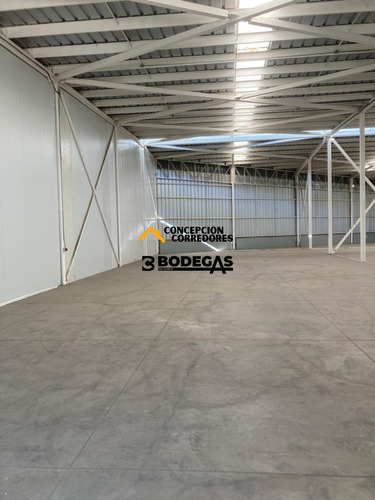 Arriendo Bodega De 300 M2 En Camino A Noviciado.
