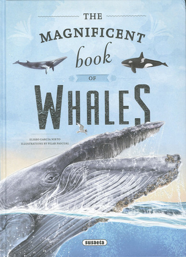Libro The Magnificent Book Of Whales - Garcia Nieto, Eliseo