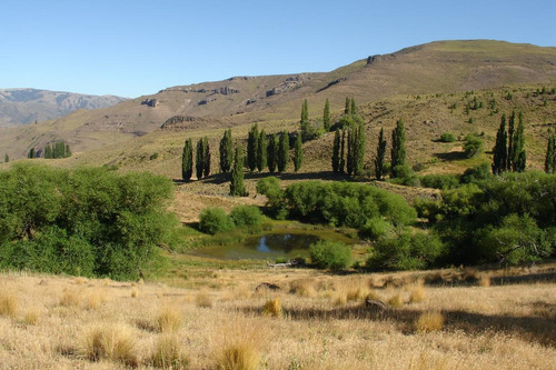 Imagen 7 de 30 de Campo En Venta Zona Alumine, Neuquén