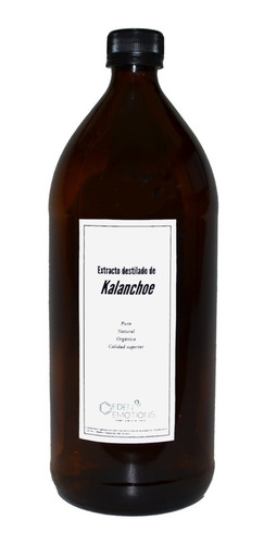 Extracto De Kalanchoe 1/2 Litro 100% Puro Y Natural 