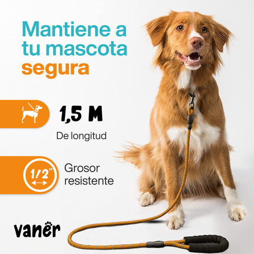Vaner Correa Para Perro 1 5m Perros Pequeños Medianos y Grandes Color Naranja