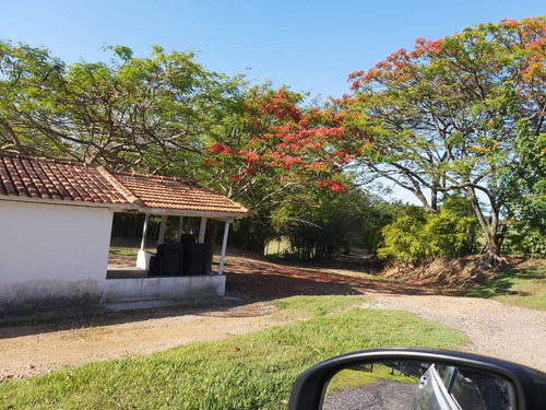 Imagem 16 de 29 de Terreno À Venda, Vila Nova Itapetininga, Itapetininga, Sp - Sp - Te0007_dcoe