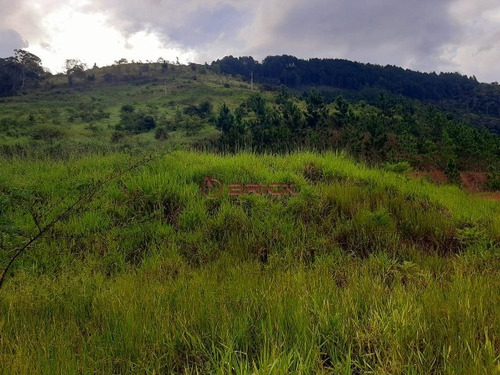Imagem 5 de 27 de Terreno Em Condomínio Com 2.000 M², Em Bonsucesso. - Te00397 - 69360138