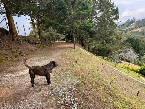 Arriendo Cabaña Por Meses En Rionegro