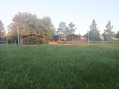 Imagen 8 de 10 de Terreno - Gualeguaychu