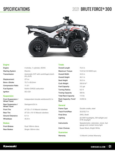 Imagen 10 de 25 de Kawasaki Brute Force 300 2022