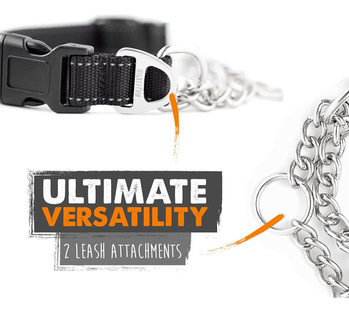 Mighty Paw Martingale Collar De Perro 2.0 | Trainer Appro...