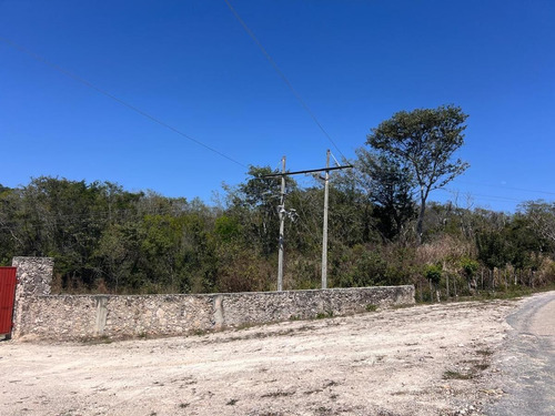 Campeche Champoton, San Fernando Terreno Venta