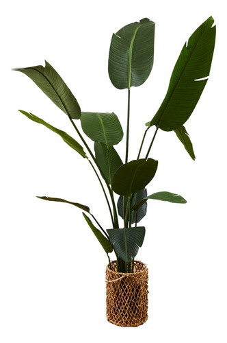 Planta Artificial Sterlizia 2 M