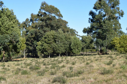 Venta Chacra Ruta 60 Maldonado Pan De Azucar Cerro Betete