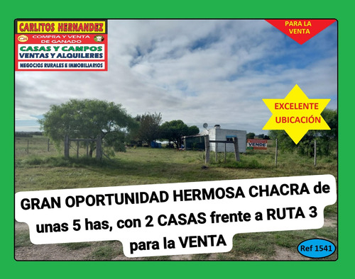 Ref 1541) ** V - Gran Oportunidad Hermosa Chacra De Unas 5 Hectáreas Frente A La Ruta 3, Con 2 Casas Para La Venta, Es En San José