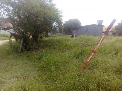Imagem 7 de 8 de Terreno Para Venda Em Magé, Jardim Da Paz - Mauá - Terrenove_1-1016613