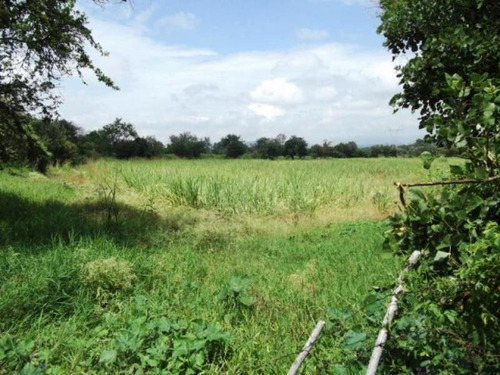 Imagen 4 de 10 de Venta Terreno Centro De Emiliano Zapata
