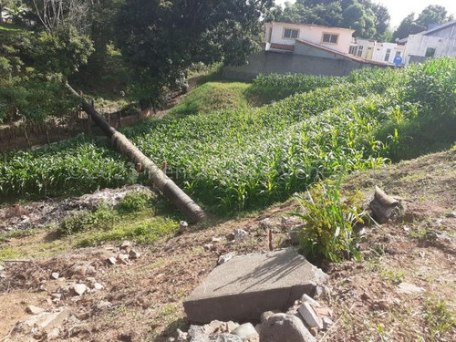 Imagen 8 de 10 de Terreno En Venta En Los Naranjos, San Juan De Los Morros 22-14448 / 0424-3392775