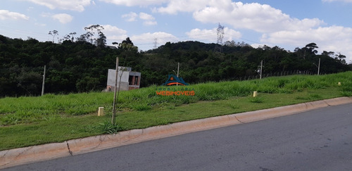Imagem 6 de 6 de Terreno - Te00005 - 68570905