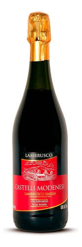 Vino Tinto Italiano Caviro Castelli Modenesi Lambrusco 1500m