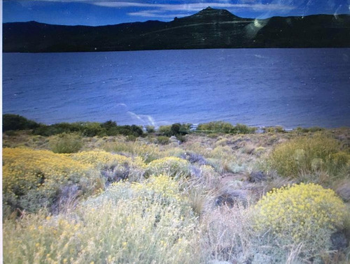 Imagen 2 de 2 de Terreno 2600 M2 Sobre Costa De Lago - Huechulafquen